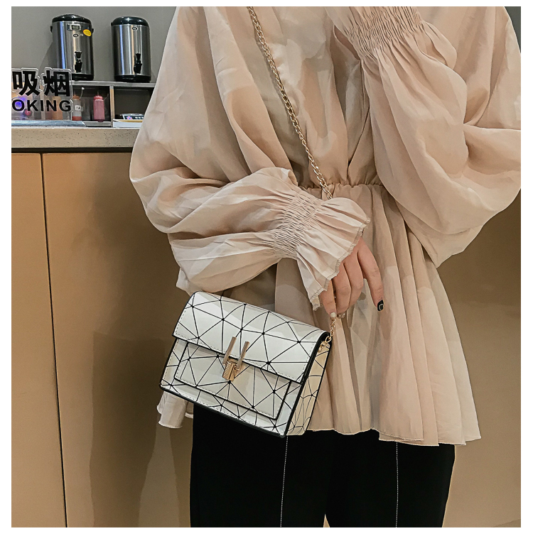 Summer Small Bag For Women  All-matching Shoulder Bag Oblique Bag Chic Laser Stitching Small Square Bag display picture 42