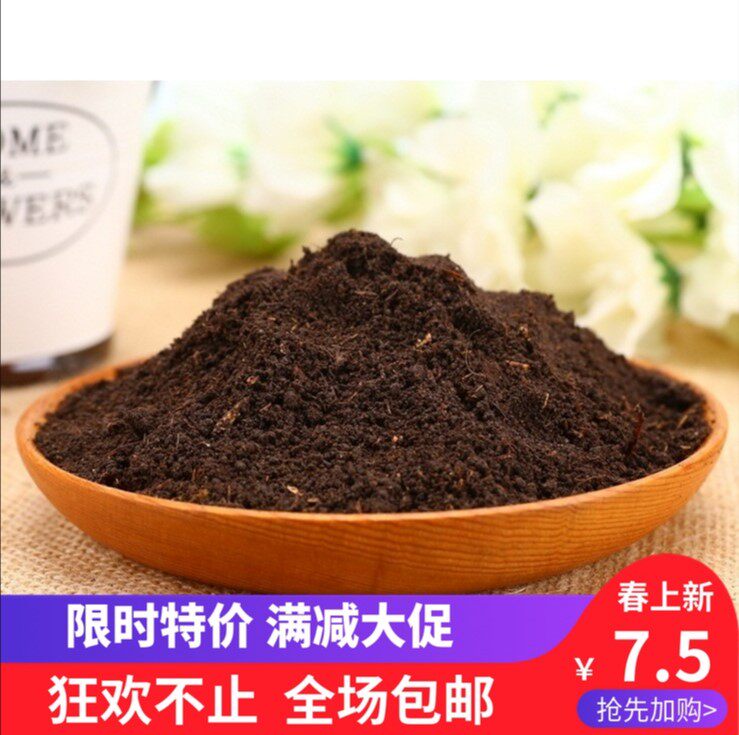 Snail nutraceutical calcium sand soil forage large fully bred feed house tool snails with earth