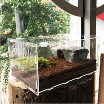 Snail feed Snail nutrition soil Coconut feeding box Acrylic feeding box Snail supplies collection feeding supplies