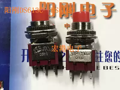 MASCULINE DS613C ON - (ON)RESET BUTTON DS612C ON ON SELF-LOCKING BUTTON DIAMETER 10MM