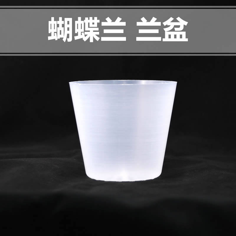 Japanese Phalaenopsis Plastic Translucent Ventilating Special Flowerpot Large-size Orchid Orchid Cordyceps Orchid