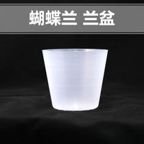 Japanese Phalaenopsis plastic translucent breathable special flowerpot large wind orchid orchid orchid plant