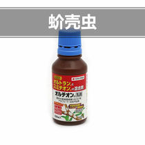 Sumitomo chemical horticultural scale insects scale insects succulent plants rose roses Huijun