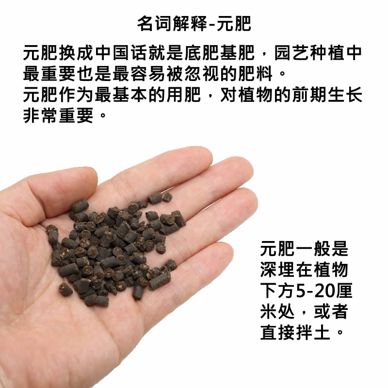 日本產bo元肥植物花卉盆景通用底肥基肥天然有機緩釋肥料月季多肉 日本產bo元肥植物花卉盆景通用底肥基肥天然有機緩釋肥料月季多肉