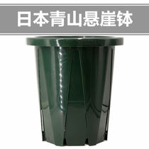 Japan imported Qingshan cliff bowl Root plastic round flower pot high bottom foot permeable rose European Moon