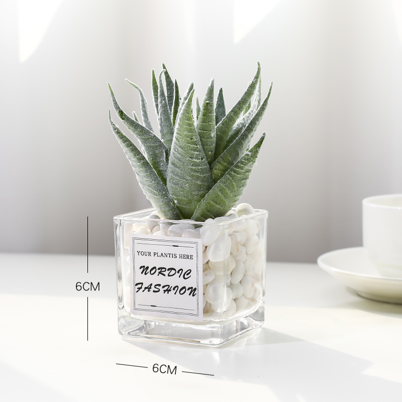 Aloe Flockingsimulation Green plants small pot office desktop a decoration Mini cactus Succulent decorate artificial flower a living room Ornaments