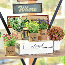 Simulation succulent plant small potted home furnishings small bonsai set indoor living room green plant decorations