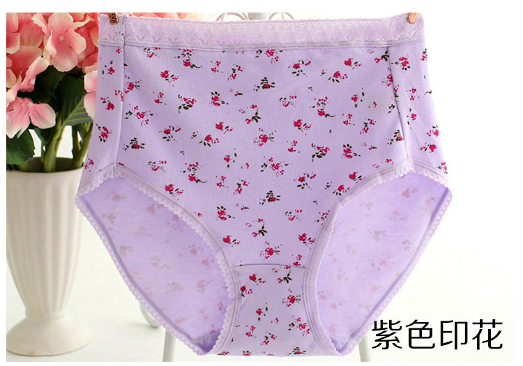 Slip Moyen-âge simple en coton - Ref 646664 Image 14