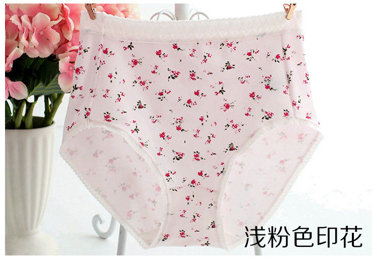 Slip Moyen-âge simple en coton - Ref 646664 Image 17