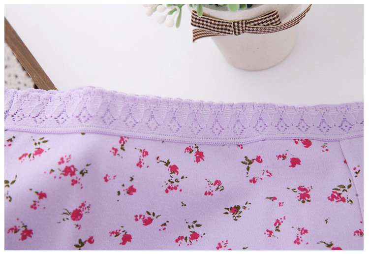 Slip Moyen-âge simple en coton - Ref 646664 Image 15