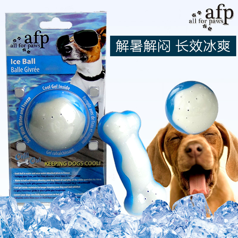 Summer-lowering ice toy Teddy dog toy bite large dog grinding teeth tooth gold hair puppy ice cooling cooling