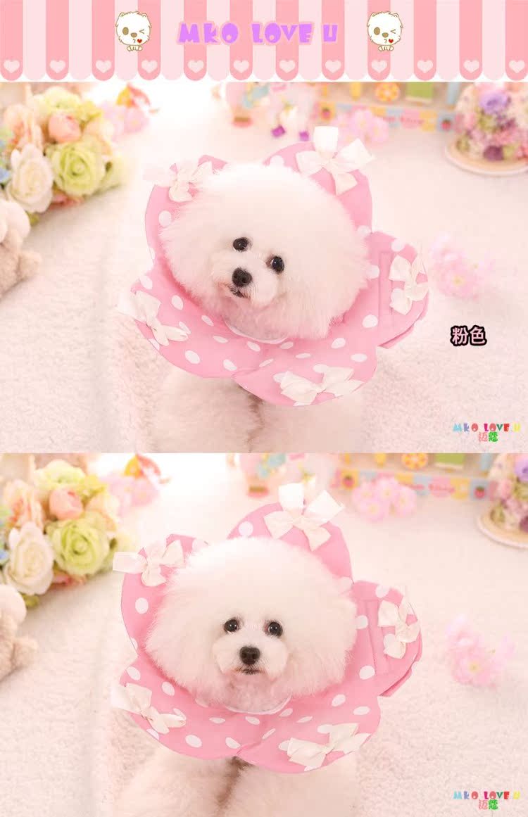 Vật nuôi mới Elizabeth ring mèo dog pet chống cắn vòng y tế làm đẹp mui xe chống mite vòng bảo vệ chống cắn - Cat / Dog hàng ngày Neccessities 	khay inox đựng thức ăn cho chó	
