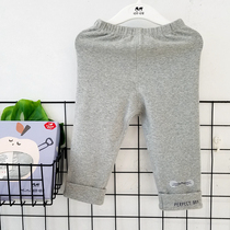Break Code Clear Sea Turtle Nen Turtle Love Baby Pants Baby Pure Cotton Casual Pants Spring Autumn Money Long Pants 3 Months 0-1 Year Old Single Pants