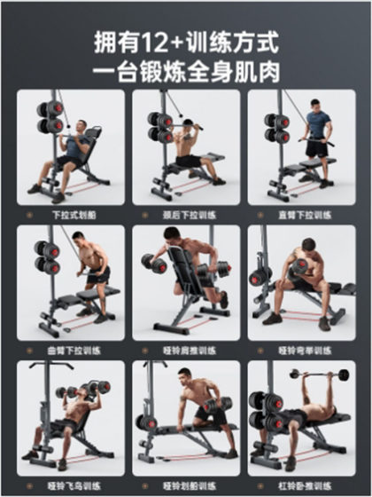 Tall Person's Professional Multi-Functional Dumbbell Bench, Incline Bench for Bench Press, Fitness Chair, Fitness Equipment, Home-Use Folding Bench Press