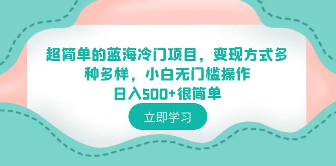 图片[1]-0基础操作蓝海冷门项目日入500+，多种变现方式助你轻松成功！-暗冰资源网