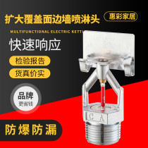 DN20EC-HSW extended coverage horizontal side wall type quick response nozzle K115 enlarged fire sprinkler