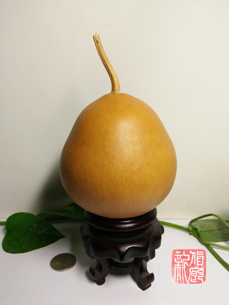 Grasshopper gourd, 10cm high, picked in 2015, special-shaped to play with collectible balls