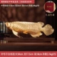 (Бесплатная доставка) Jtbj Boc Gold Golden Dragon Fish (включая 58 см)