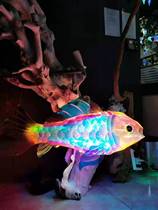 Spring Beauty Chen props Laser Lantern Carp Carp Carp Hanging Accessories Mall Shop Shop Window Adornment Pendant