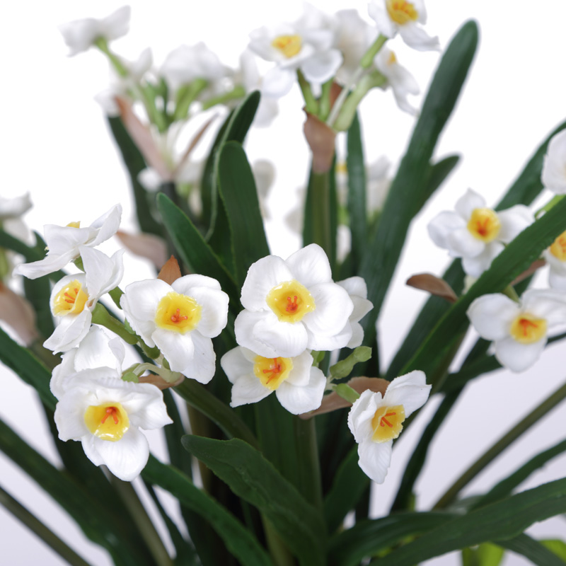 ����õ������ڷŻ��������ӻ���