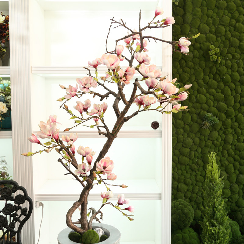 ����õ����ط���������