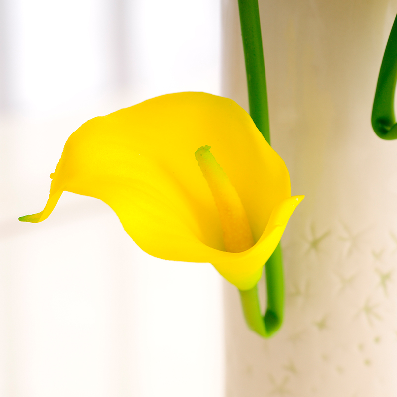 ����õ�������ǻ���������