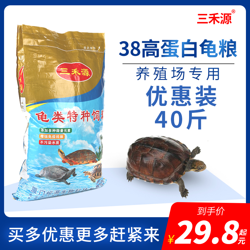 Tortoise grain stone money turtle grass turtle brocade tortoise tortoise Brazil turtle South stone tortoise flame turtle feed high calcium Turtle Feed