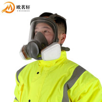 6800 gas mask on both sides of the mask pesticide protection mask face mask dustproof full face Hood full fire