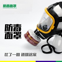 Fire poison mask chemical spray paint pesticide dust ammonia carbon monoxide formaldehyde full mask acid gas vapor