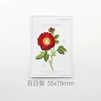 Сто дней хризантема