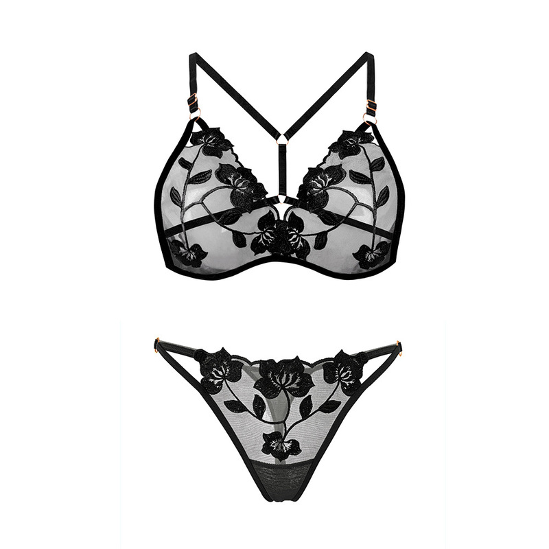 Trendy Sexy Lingerie for Women: Fun Thongs and Bras, French-Style Lightweight Lace T-Back Panties That Show Off the Buttocks