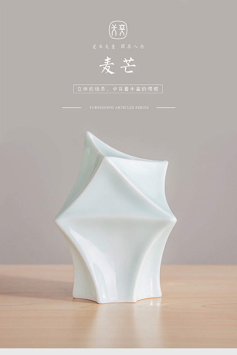 The tat day yi ceramic vase furnishing articles TV ark, desktop hydroponic flowers adornment flowers sitting room tea table