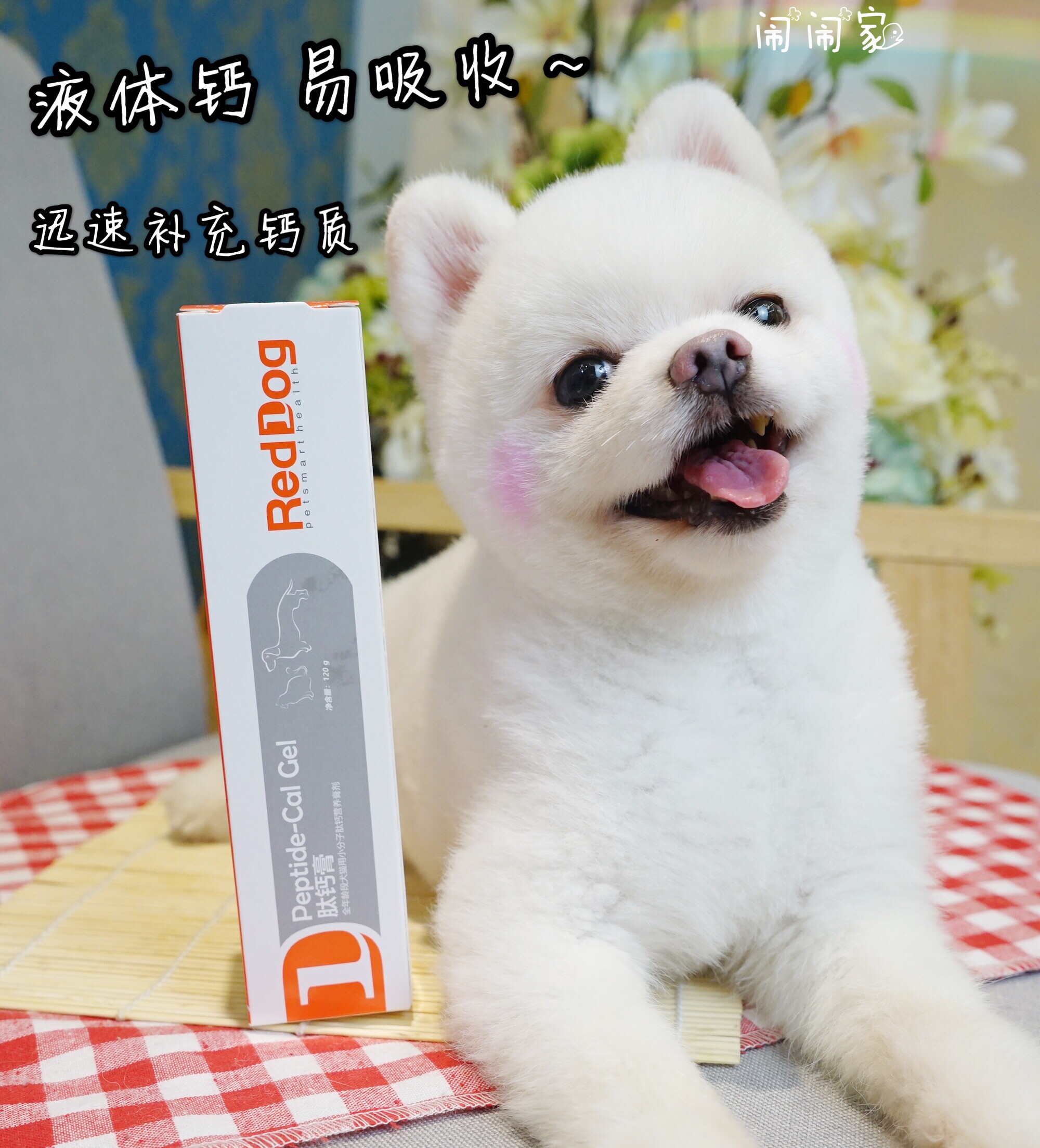Red Dog Peptide Calcium Cream Dog Bone Boosting Calcium Nutrition Cream Pet Liquid Calcium Teddy Cat Puppies Calcium King Dog