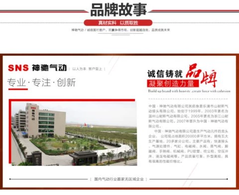 SNS Shenchi Dụng cụ khí nén Van an toàn Van giảm áp tác động trực tiếp Dòng BV đầy đủ - Công cụ điện khí nén bình tích áp khí nén