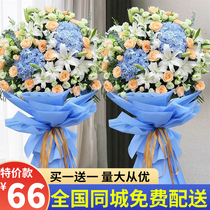 New store opening flower basket Flowers in the same city express response to Shanghai store Suzhou Nanjing Guangzhou Shenzhen Hangzhou