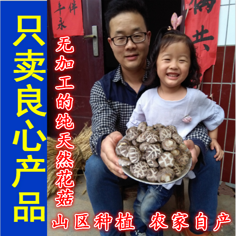 White flower mushrooms Wang ABC Class No Lavender Farmhouse Self production Henan Xixia Special produce 500 gift boxes to give gift and dry goods tea shiitake mushrooms