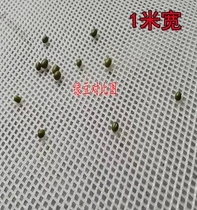 New 0 2 cm plastic mesh with small holes thickening for breeding household balcony protection cat fall insect bee breeding silkworm chicken childrens film