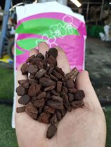 Orchid plant material is succulent and nutritious Tuokot Orchiata imported from New Zealand is decomposed pine bark.