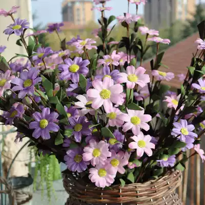 European-style sun Daisy 5-head simulation flower ornaments Cosmos wedding home decoration photography fake flower decoration decoration