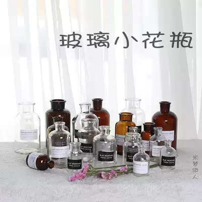 Modern minimalist ins glass vase Nordic desktop dry flower arrangement vase Brown hydroponic flowers table vase