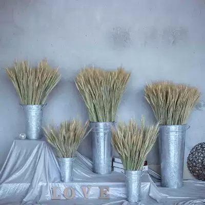 Wheat dry bouquet Taobao picture shooting props store opening gift decoration decoration real flower natural dry flower