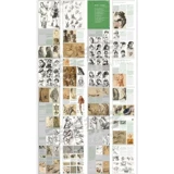 Эскиз персонажа 2019 года 8S Perfect Teaching Yang Shenxiu Scholars Основное локальное одно комбинированное динамическое рисование шаблонов фотографий Фотографии Фото