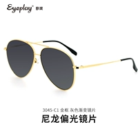 EP-3045AKY-C1-поляризованная модель