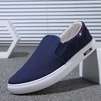 F08 Blue