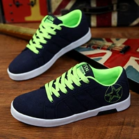 8607 Blue Green