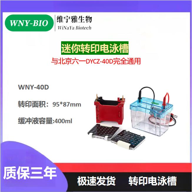 通用适配北京六一 DYCZ-40D转印电泳仪迷你转移槽