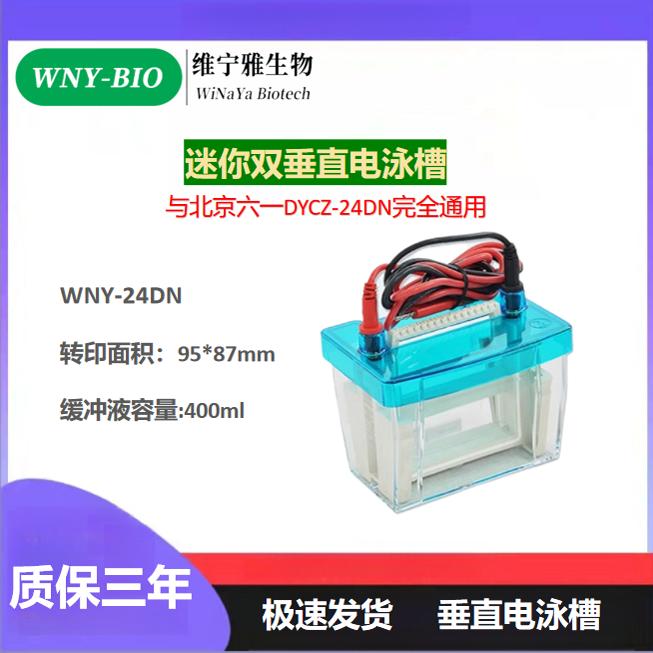 北京六一DYCZ-24DN蛋白电泳仪WB平板凹板玻璃板梳子同源厂家替代