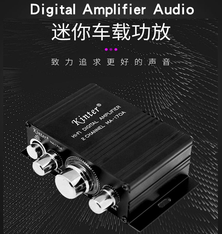 170A Bluetooth high-fidelity small pure power amplifier 12 220V human voice good sound quality car home outdoor