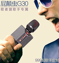 Buttworm G30 audio microphone integrated microphone mobile phone live sound card wireless Bluetooth handheld outdoor amplification car karaoke car home TV all-round National singing K song artifact