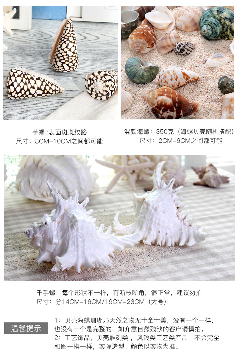 Coral Conch Mix_07.jpg